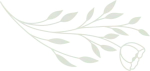 flower 3
